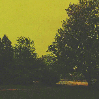 My Purest Heart For You : Yellow Skies Before the Storm